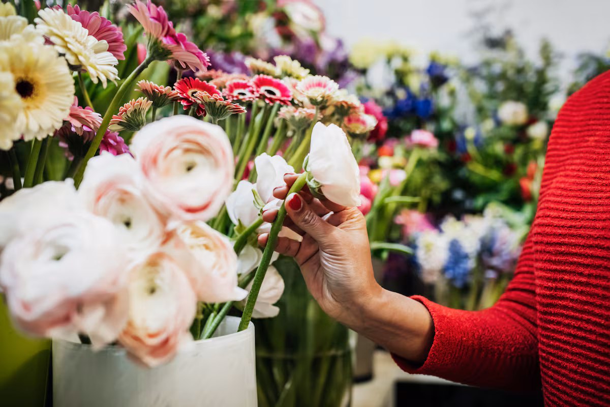 El lenguaje secreto que transmiten las flores, de la ira al amor EL PAÍS