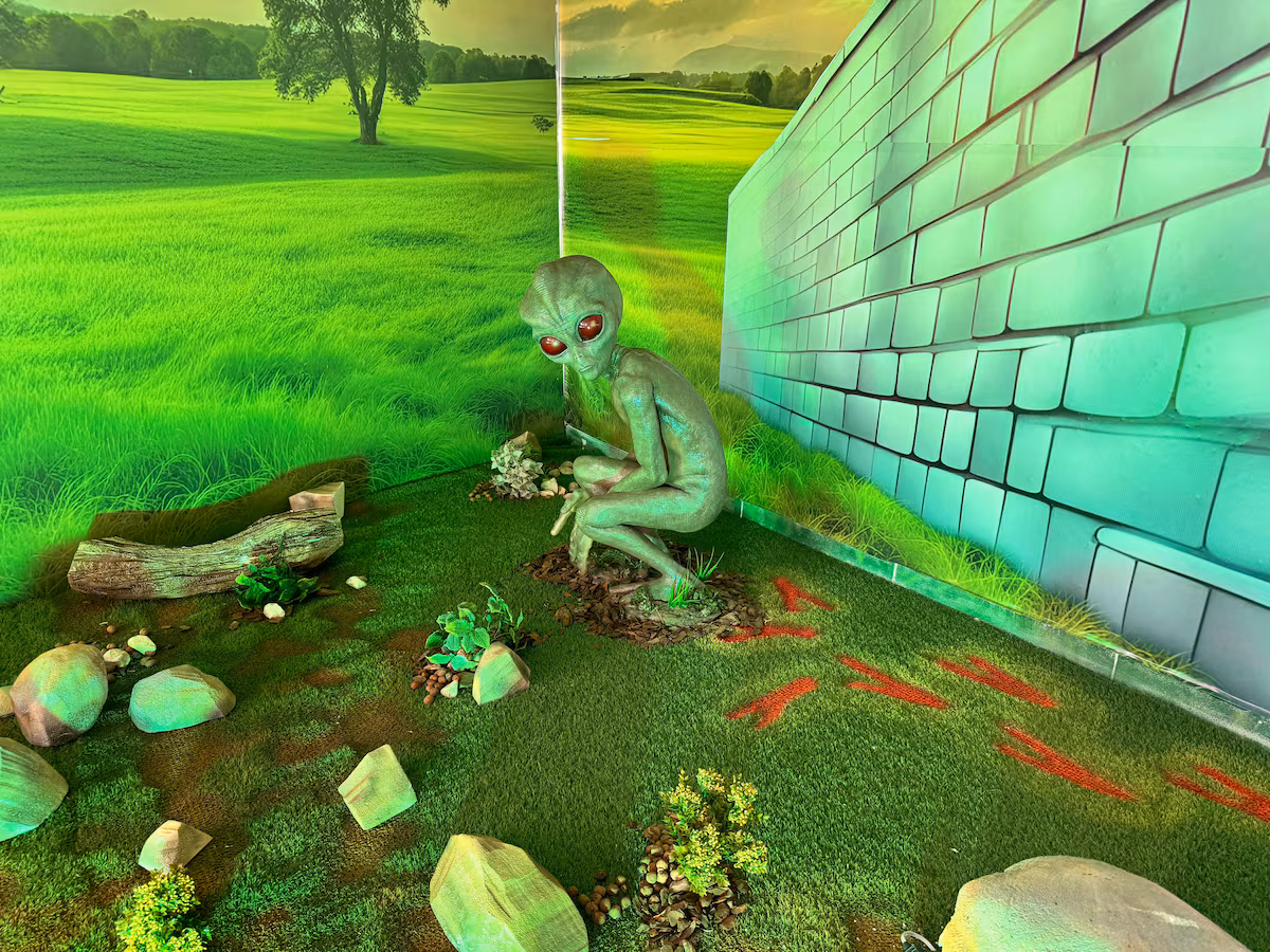 El ‘ET de Varginha’: el alienígena que cautiva a Brasil 30 años después de un avistamiento descartado por la investigación oficial EL PAÍS