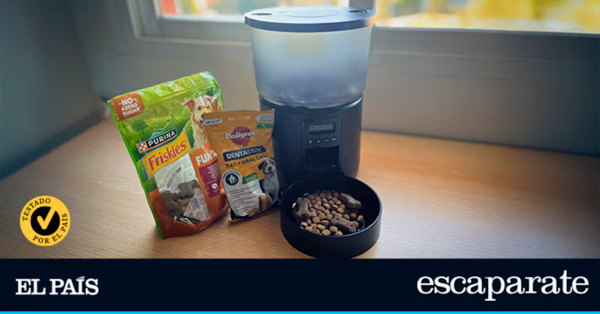 Elegimos los mejores comederos automáticos para perros y gatos Elegimos los mejores comederos automáticos para perros y gatos