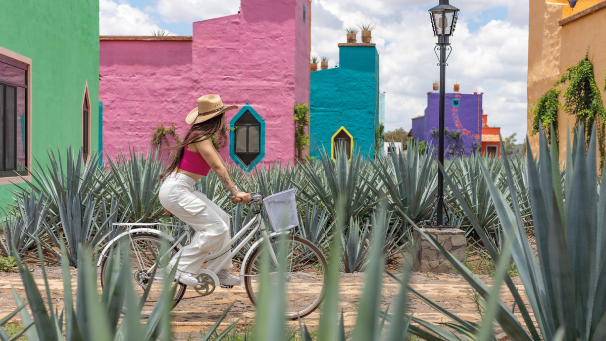 Entre agaves y alambiques: esta es la ruta del tequila en los Altos de Jalisco Entre agaves y alambiques: esta es la ruta del tequila en los Altos de Jalisco