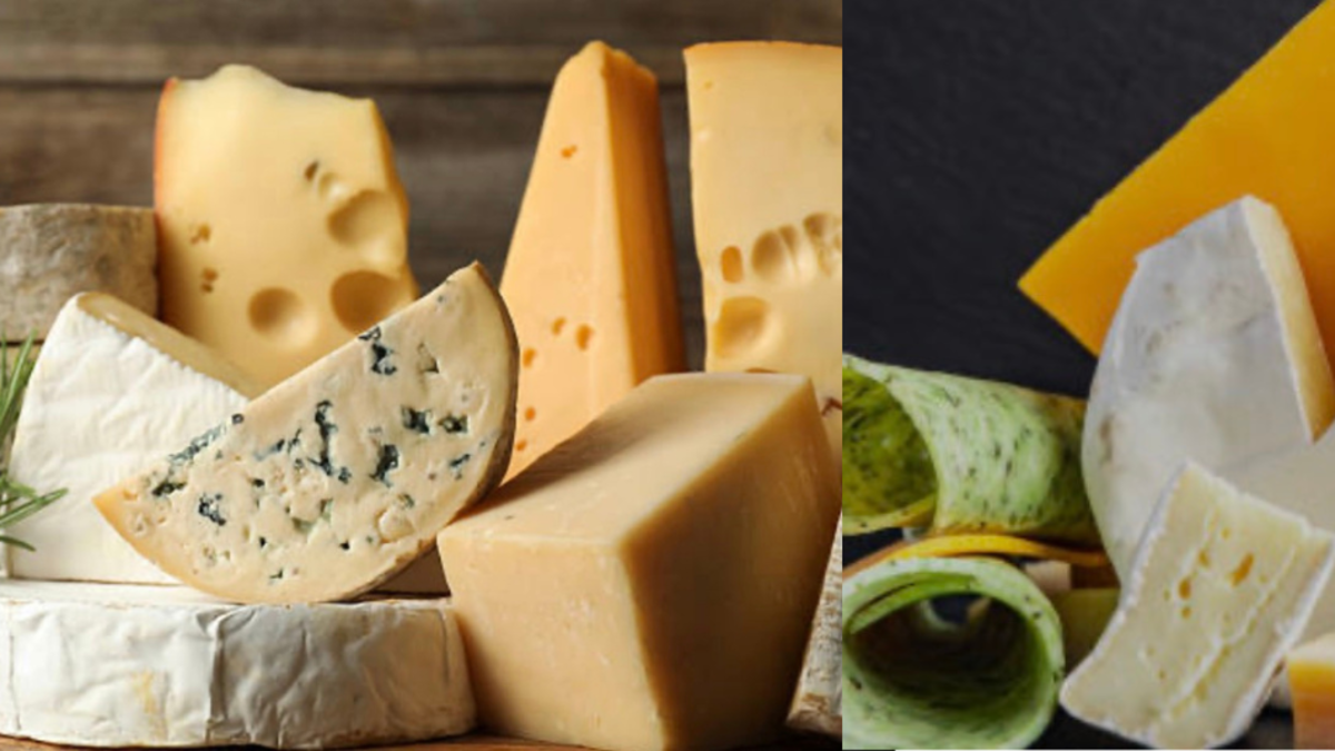 Estos son los quesos que recomiendan los expertos para una dieta más saludable Estos son los quesos que recomiendan los expertos para una dieta más saludable