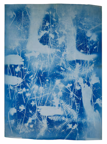 Las cianotipias de Rauschenberg y Weil, mucho más que la mujer del artista Las cianotipias de Rauschenberg y Weil, mucho más que la mujer del artista