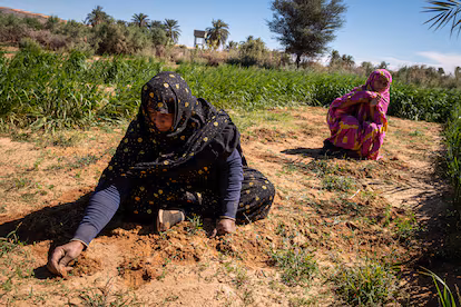 Un oasis para los sufíes en el corazón del Sáhara: “En el resto de Mauritania, el salafismo está ganando terreno” Un oasis para los sufíes en el corazón del Sáhara: “En el resto de Mauritania, el salafismo está ganando terreno”