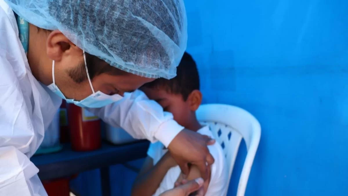 Fiebre amarilla, la enfermedad que tiene en alerta a Colombia: los municipios donde el riesgo es mayor y usted debería vacunarse si los visita Fiebre amarilla, la enfermedad que tiene en alerta a Colombia: los municipios donde el riesgo es mayor y usted debería vacunarse si los visita