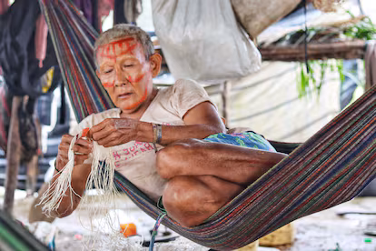 Los nukak y la lucha por volver a su territorio Los nukak y la lucha por volver a su territorio