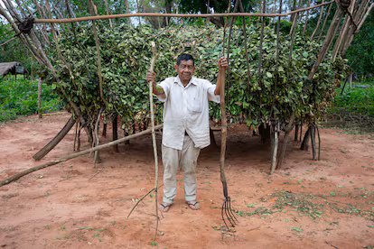 En busca del mate perdido: una historia de amor y resistencia En busca del mate perdido: una historia de amor y resistencia