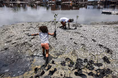 ¿Por qué 2026 puede redefinir la acción climática en América Latina y el Caribe? ¿Por qué 2026 puede redefinir la acción climática en América Latina y el Caribe?