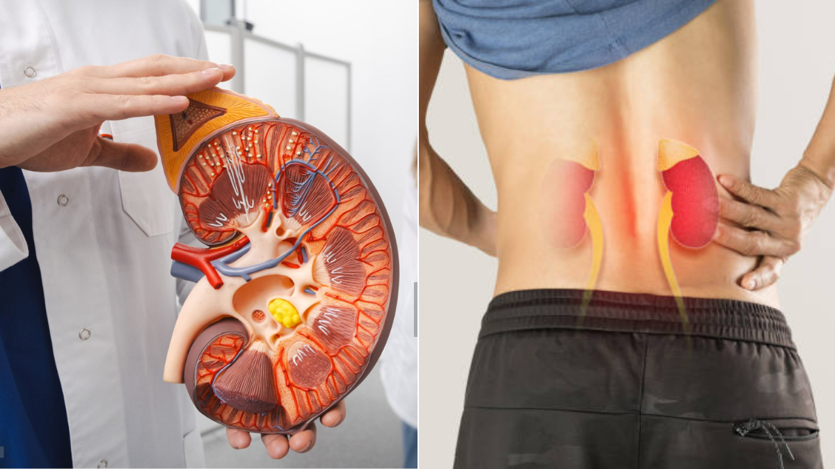 La función renal que puede fallar sin síntomas: esta es la señal silenciosa que alerta a los médicos La función renal que puede fallar sin síntomas: esta es la señal silenciosa que alerta a los médicos