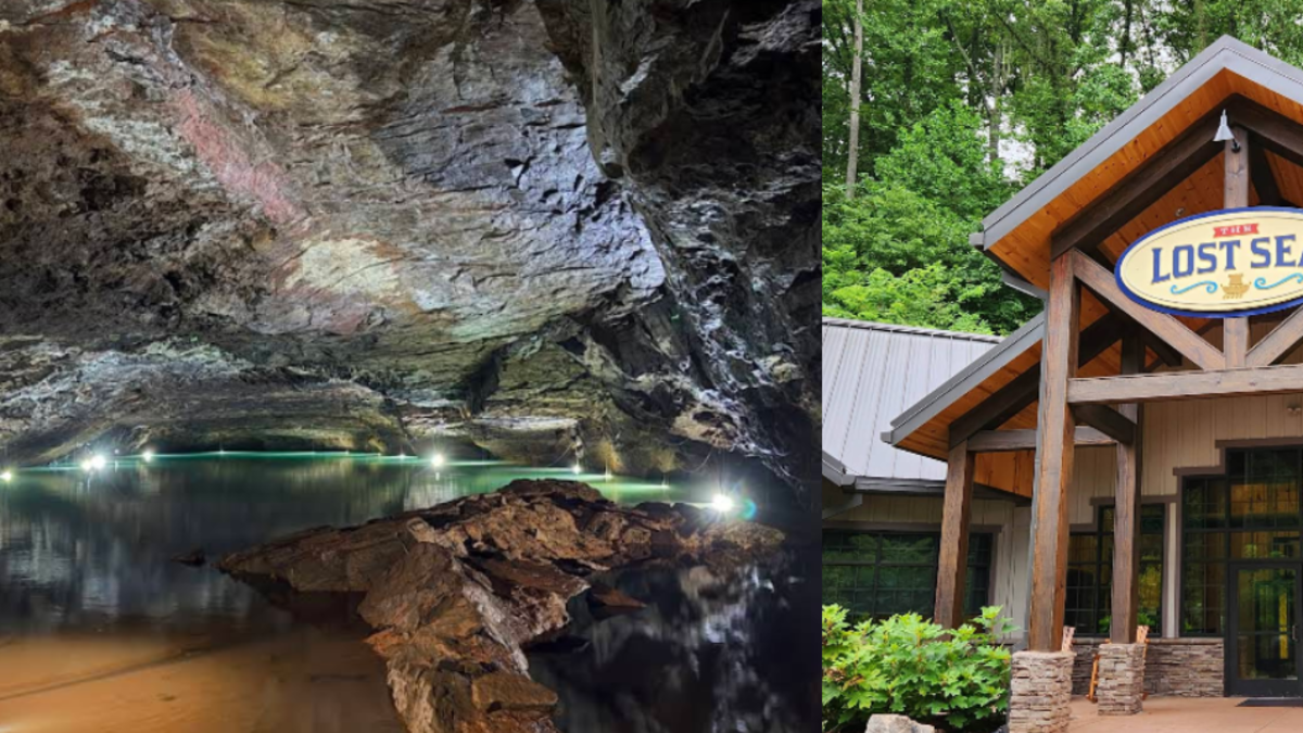 La historia del ‘mar subterráneo’ en Estados Unidos que un niño de 13 años descubrió por accidente La historia del ‘mar subterráneo’ en Estados Unidos que un niño de 13 años descubrió por accidente