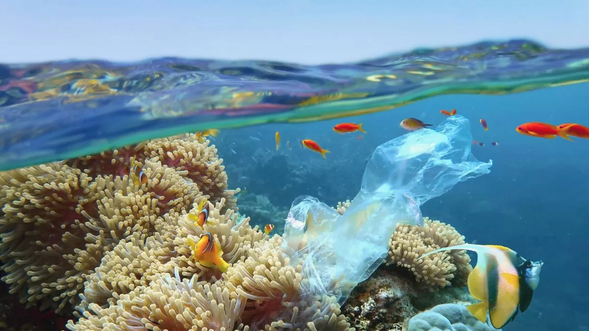 La temperatura de los océanos marcó un nuevo récord en 2025 La temperatura de los océanos marcó un nuevo récord en 2025