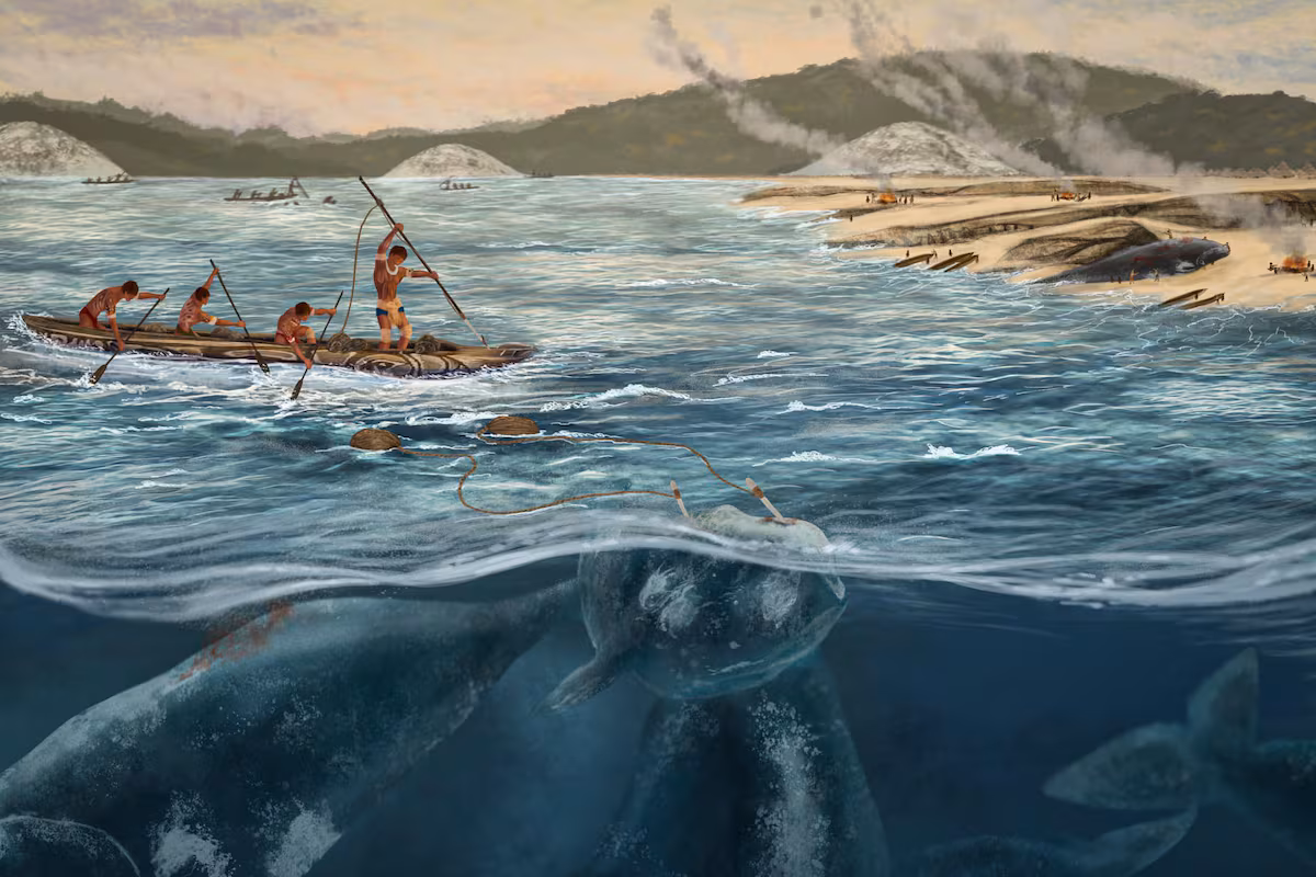 Lejos del hemisferio norte: la primera caza de ballenas habría sido en las costas de Brasil y hace 5.000 años EL PAÍS