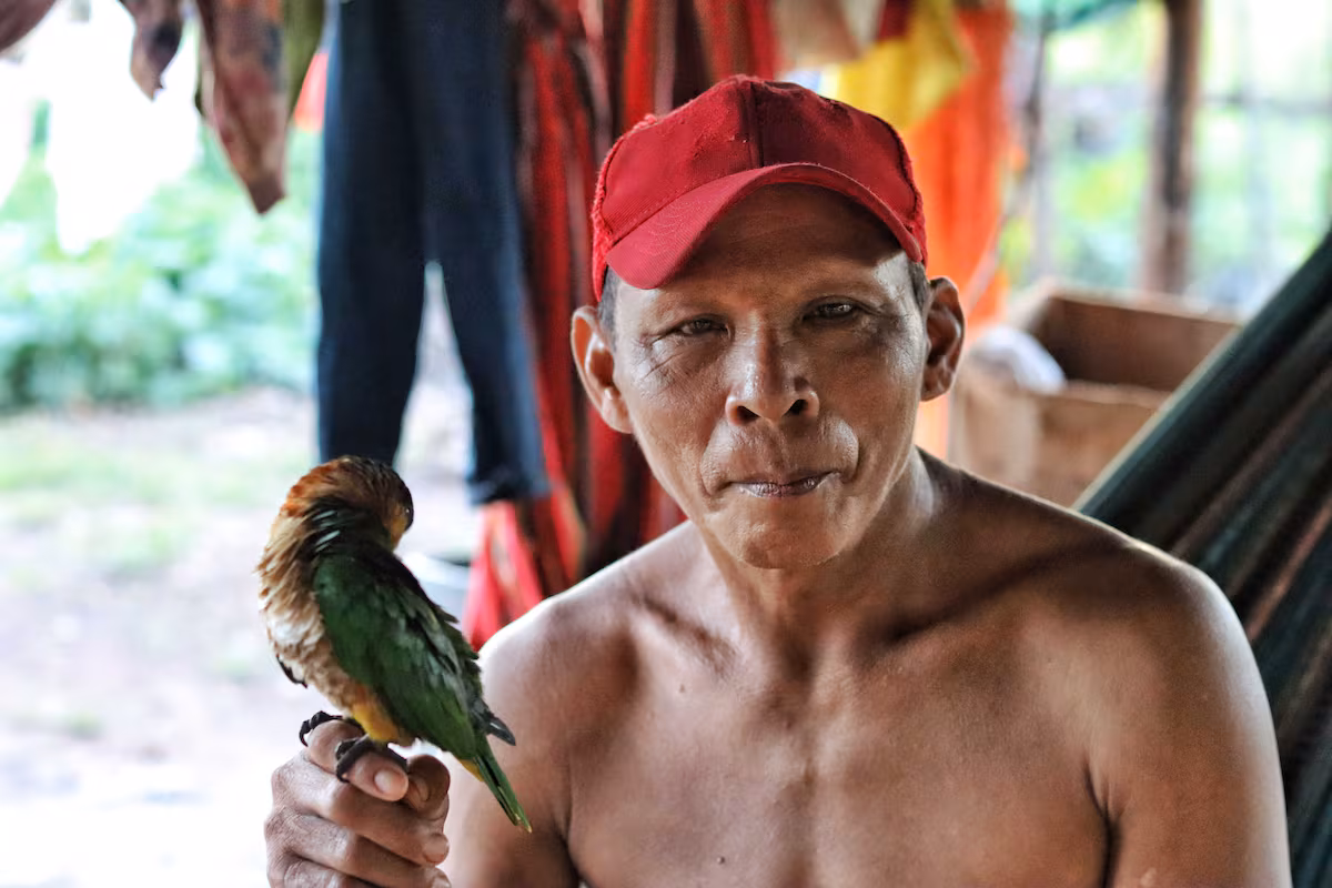 Los nukak y la lucha por volver a su territorio EL PAÍS