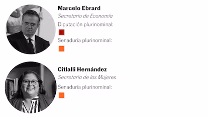 Claves para entender el peso de los plurinominales en el Congreso de México en los últimos 20 años Claves para entender el peso de los plurinominales en el Congreso de México en los últimos 20 años