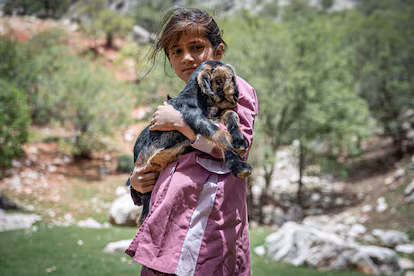 El viaje ancestral de los últimos nómadas persas El viaje ancestral de los últimos nómadas persas