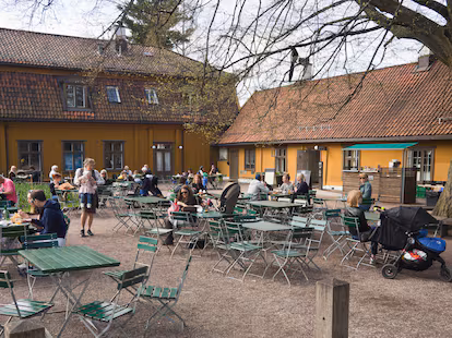 Cómo disfrutar de Oslo durante los meses más fríos Jardin Botanico Oslo