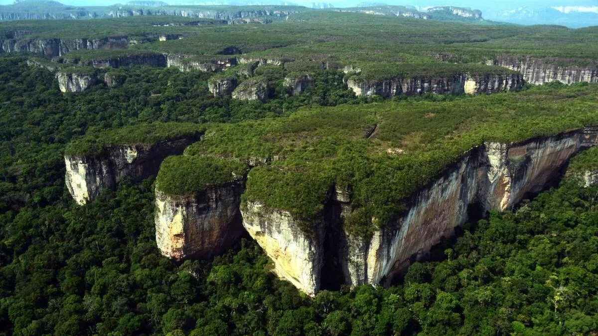 Parques nacionales, sostenes de la megabiodiversidad Parques nacionales, sostenes de la megabiodiversidad