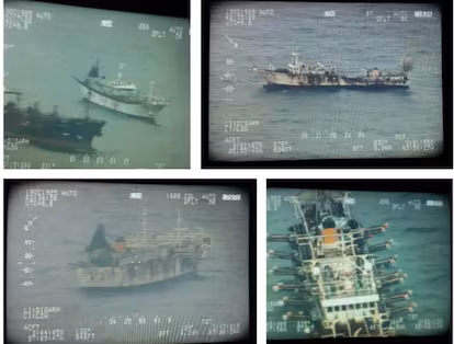 Tiburones, presa fácil del mundo criminal Tiburones, presa fácil del mundo criminal