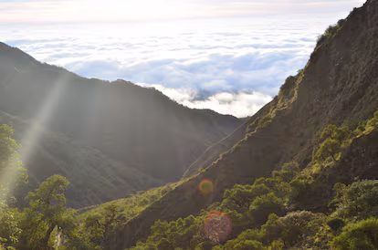 Un proyecto petrolero alarma a un área protegida boliviana: “Mi abuelo nació aquí y mi padre vive con 94 años” Un proyecto petrolero alarma a un área protegida boliviana: “Mi abuelo nació aquí y mi padre vive con 94 años”