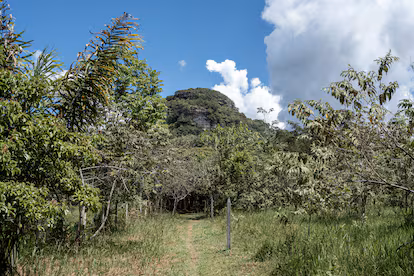 La asociación de campesinos que cuida el icónico arte rupestre en medio de la Amazonia colombiana La asociación de campesinos que cuida el icónico arte rupestre en medio de la Amazonia colombiana