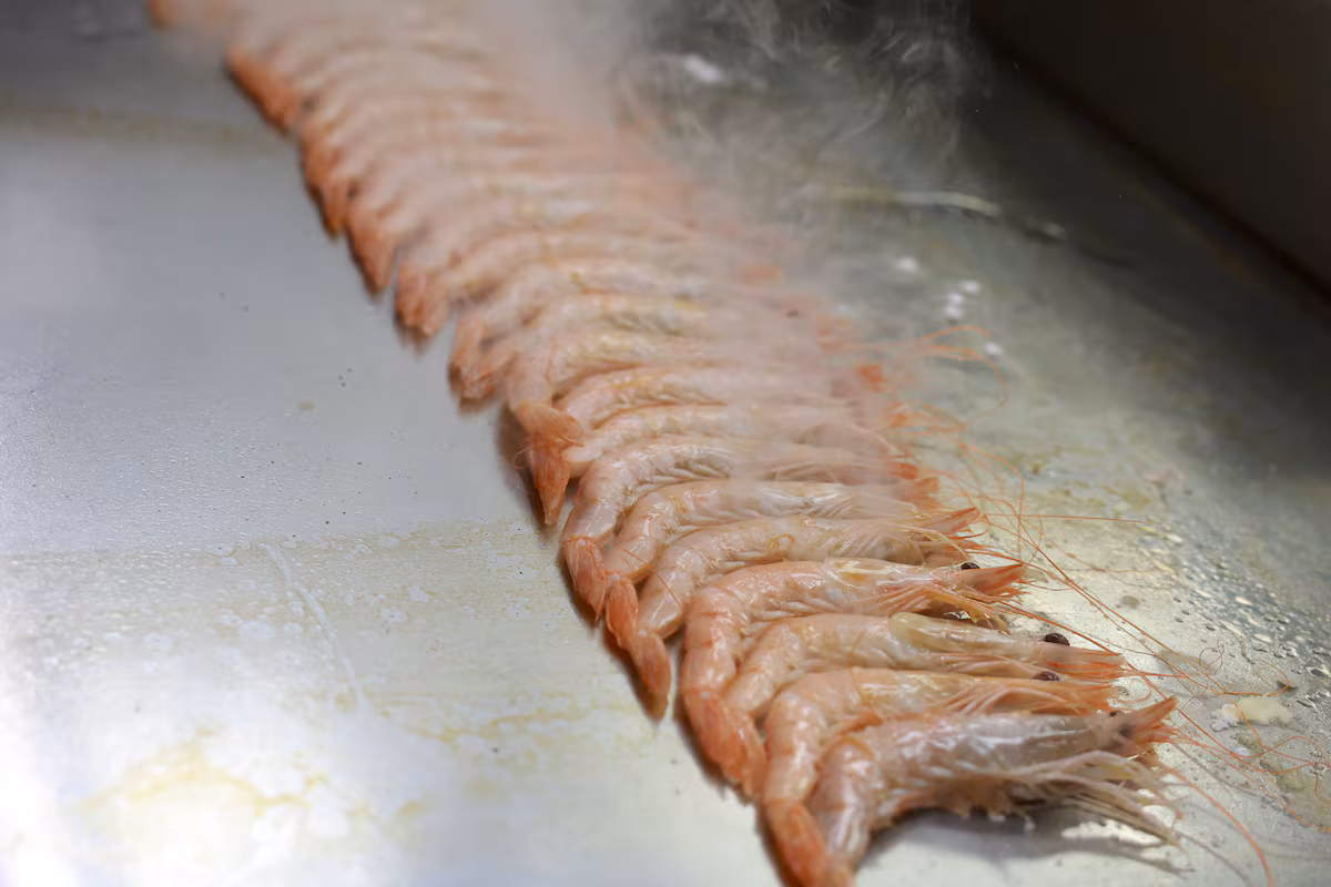 Restaurante Sala, el fenómeno de las gambas de Guadarrama: 400 kilos a la semana EL PAÍS