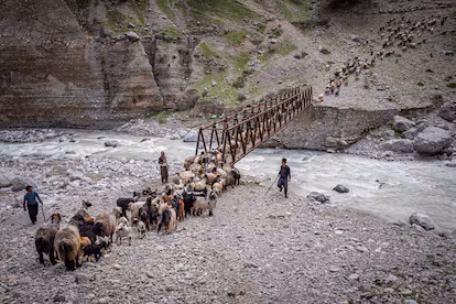 El viaje ancestral de los últimos nómadas persas El viaje ancestral de los últimos nómadas persas