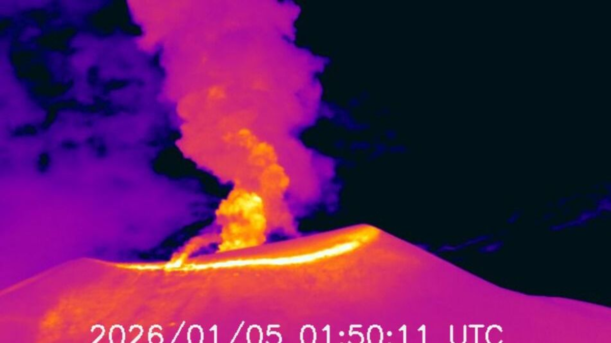 Siete nuevas emisiones de ceniza en el Puracé: reportan sismos, gases y mantienen la alerta Naranja en la cadena volcánica Los Coconucos Siete nuevas emisiones de ceniza en el Puracé: reportan sismos, gases y mantienen la alerta Naranja en la cadena volcánica Los Coconucos
