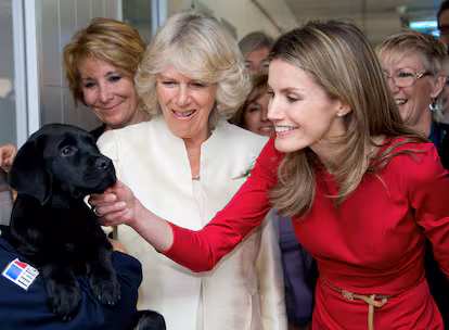 La infanta Sofía visita el centro de cría de perros guía de la ONCE en su segundo acto oficial en solitario La infanta Sofía visita el centro de cría de perros guía de la ONCE en su segundo acto oficial en solitario