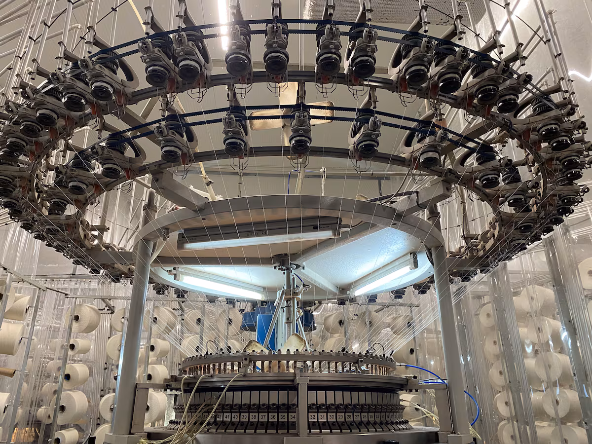 Una nueva forma de vestir: tejidos a base de ortigas o plátano EL PAÍS