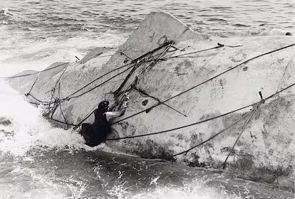 Entre ballenas, sangre y frío Entre ballenas, sangre y frío