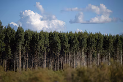 El intrincado camino de Uruguay para garantizar el abastecimiento de agua potable El intrincado camino de Uruguay para garantizar el abastecimiento de agua potable