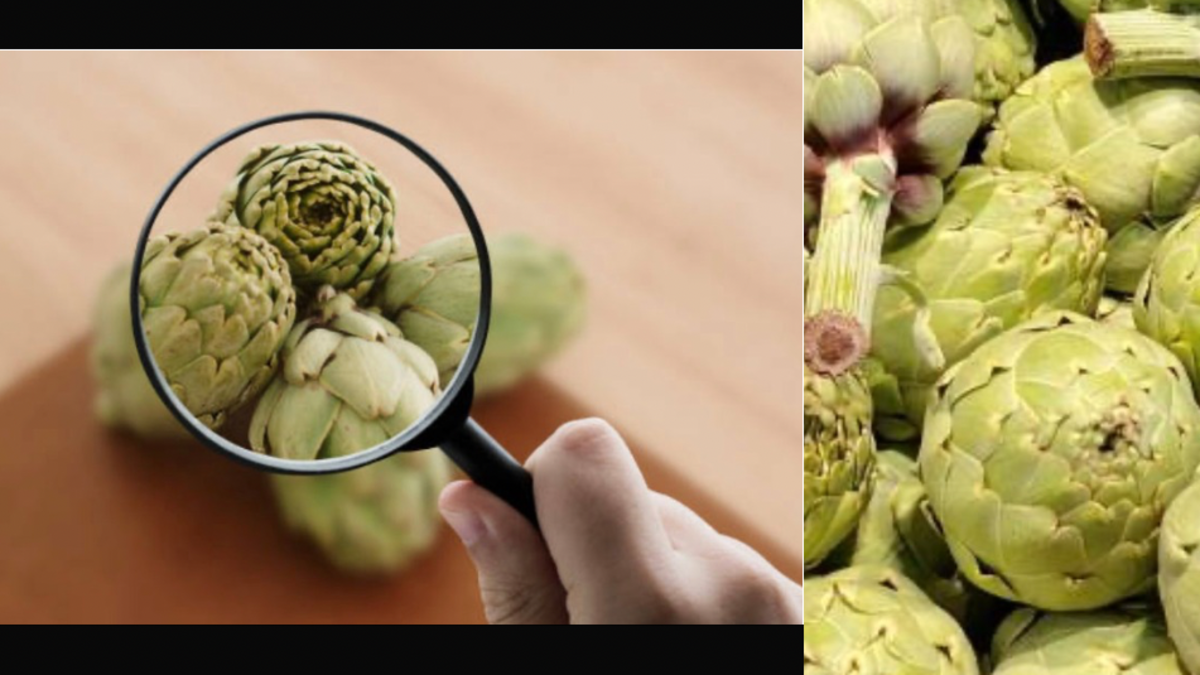 ¿Cuáles son los beneficios de las alcachofas y cómo cocinarlas correctamente? ¿Cuáles son los beneficios de las alcachofas y cómo cocinarlas correctamente?